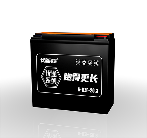 长新优途系列 6-DZF-20.3